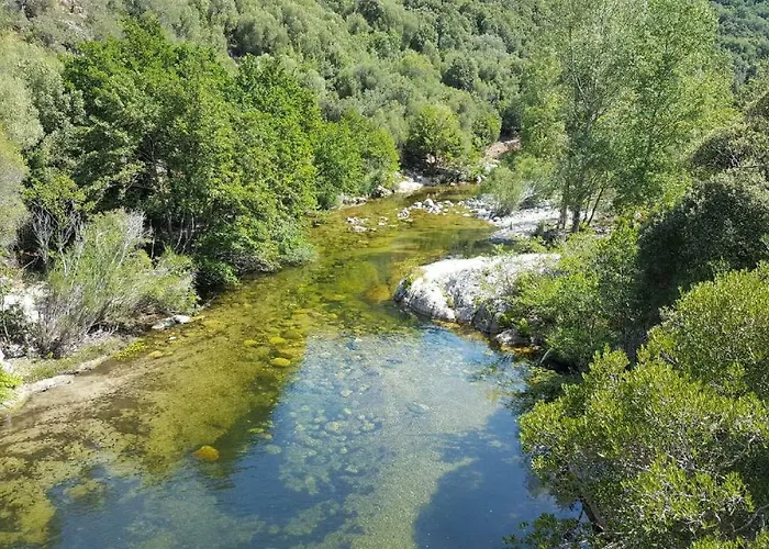 Appartement Rez De *