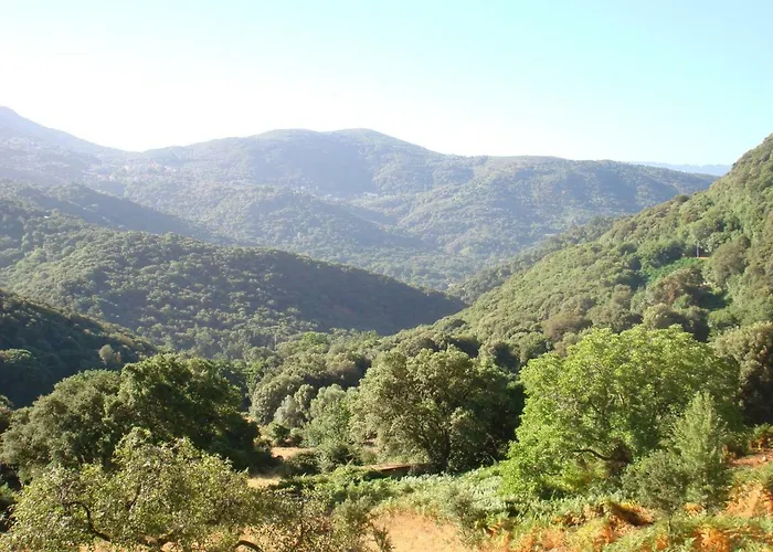 Rez De Appartement Loreto-di-Tallano