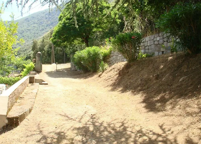 Rez De *