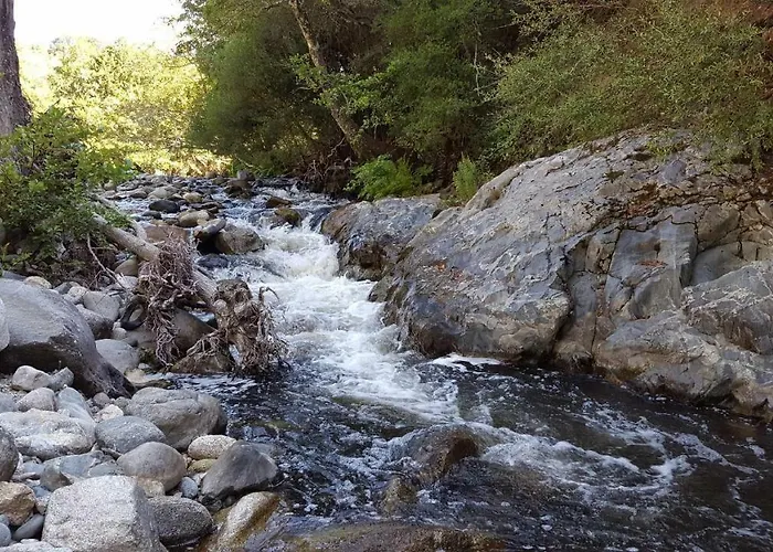 Appartement Rez De *